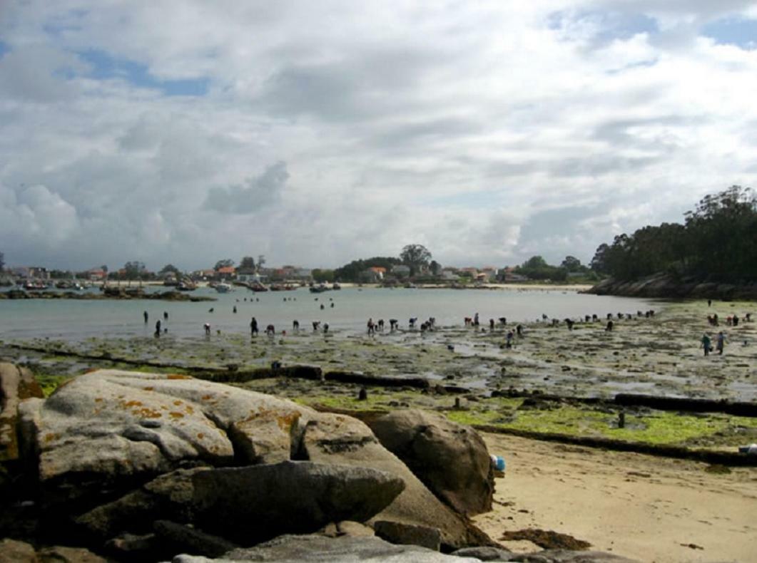 Apartamento A Canteira O Grove Luaran gambar